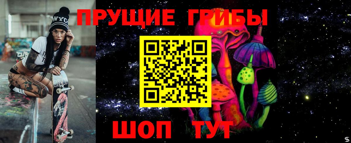Галлюциногенные грибы Psilocybine cubensis Нефтекумск