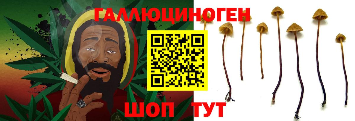 Кокаин Нефтекумск